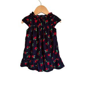Janie and Jack Navy Blue Velvet Dress 12-18M Floral Rose Ruffle Short Sleeve